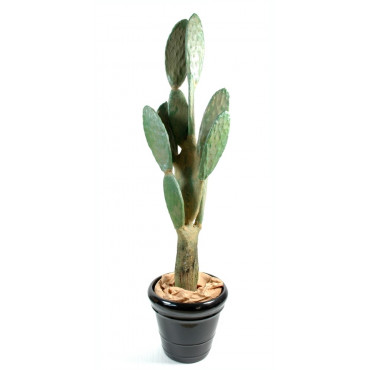 Cactus Plat Artificiel