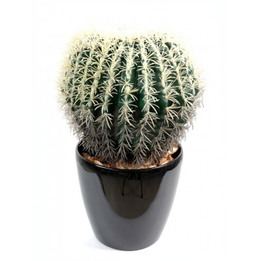Cactus Rond Artificiel