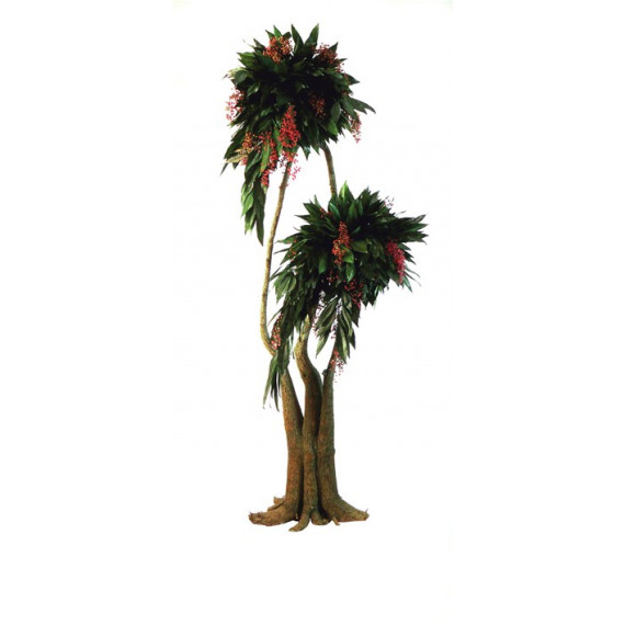 ARBRE BONSAÏ COCCULUS STABILISÉ HT 190 CM