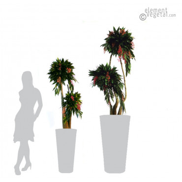 Arbre Bonsaï Cocculus Stabilisé Ht 160 et 190 cm Arbre Bonsaï Cocculus Stabilisé Ht 160 et 190 cm