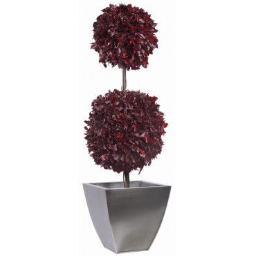 Topiaire Double Boule de Lierre Stabilisé - Rouge Topiaire Double Boule de Lierre Stabilisé - Rouge