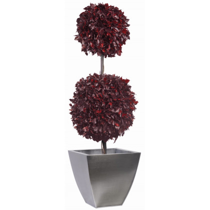 Topiaire Double Boule de Lierre Stabilisé - Rouge Topiaire Double Boule de Lierre Stabilisé - Rouge