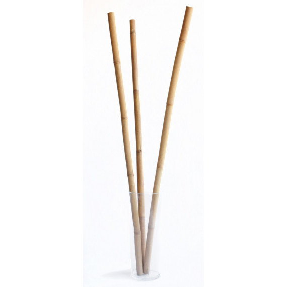 Lot De 50 Cannes En Bambou Naturel - 210 Cm, Diamètre 22/24 Mm - Pour Tuteurer Plantes Et Légumes