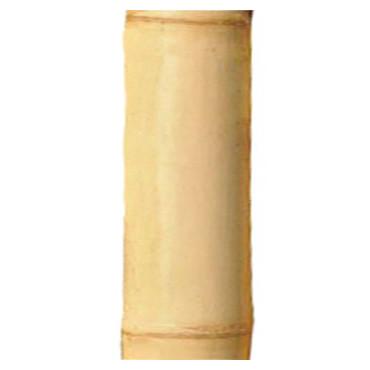 1 x Canne de Bambou Clair Ht 300 cm x Diam 10-12 cm