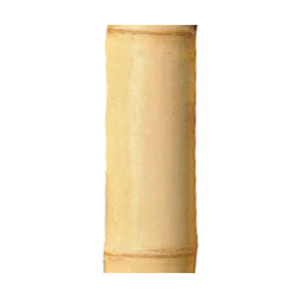 1 x Canne de Bambou Clair Ht 300 cm x Diam 10-12 cm