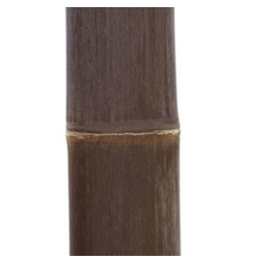 1 x Canne de Bambou Noir Ht 300 cm x Diam 10-12 cm