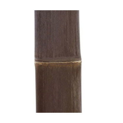 1 x Canne de Bambou Noir Ht 300 cm x Diam 10-12 cm