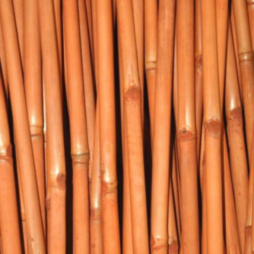 6 x Cannes de Bambou Teinté Orange Ht 200 cm x Diam 5-6 cm