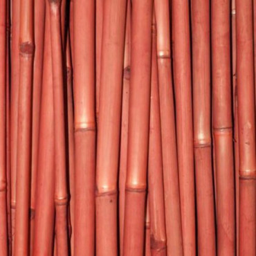 6 x Cannes de Bambou Teinté Rouge Ht 200 cm x Diam 5-6 cm