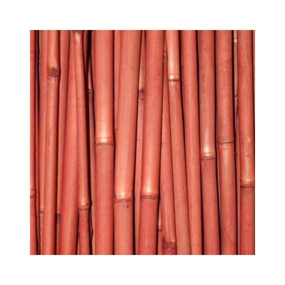 6 x Cannes de Bambou Teinté Rouge Ht 200 cm x Diam 5-6 cm