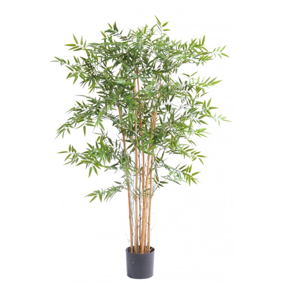 Bambou Japonais Semi-Naturel - Résistant aux UVs - Ht 150 cm