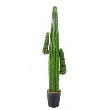 Cactus Mexico Artificiel