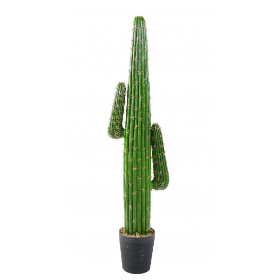 Cactus Mexico Artificiel