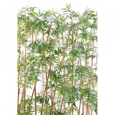 Haie de Bambou Oriental Semi-Naturelle