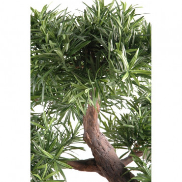 Bonsaï Podocarpus Artificiel