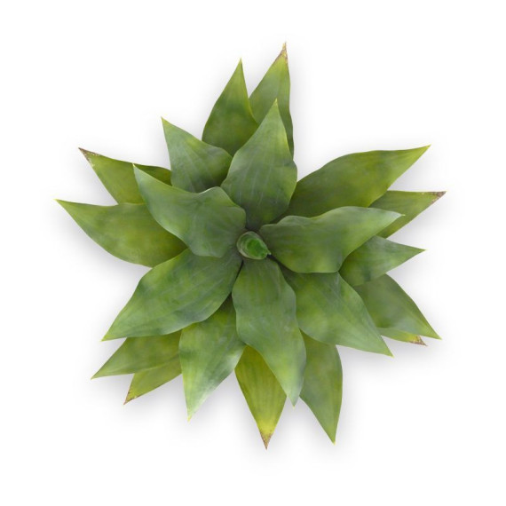 BOUQUET D'AGAVE DE 70 CM UV