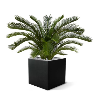 PALMIER DE CYCAS M DELUXE 80 CM UV