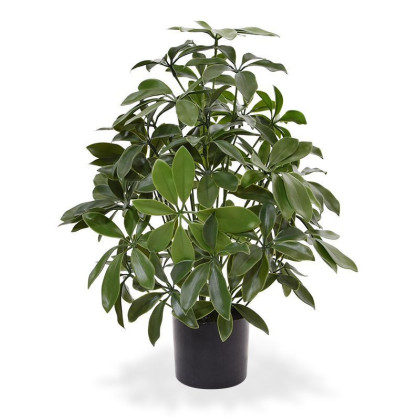 SCHEFFLERA PLANTE ARTIFICIELLE DE 50 CM ANTI-UV