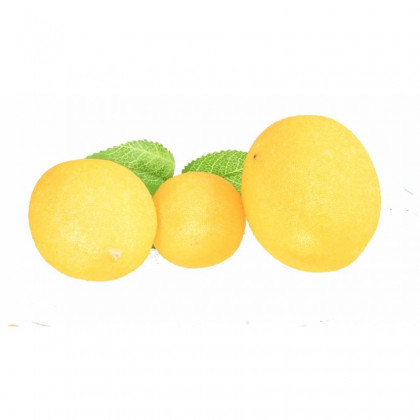 Filet de citrons (6)