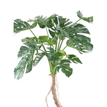 Philodendron artificiel monstera T