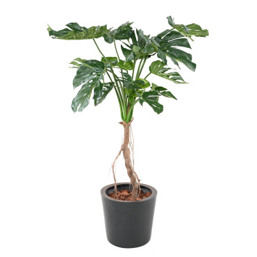 Philodendron artificiel monstera T