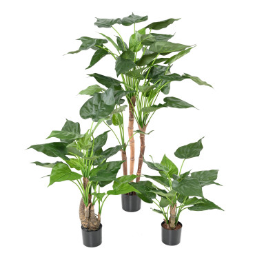 Alocasia artificiel cucullata 3T