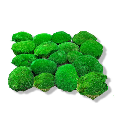 Mousse boule stabilisée vrac vert foncé