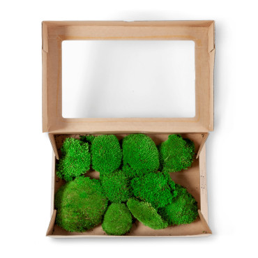 Mousse boule stabilisée window box vert clair Mousse boule stabilisée window box vert clair