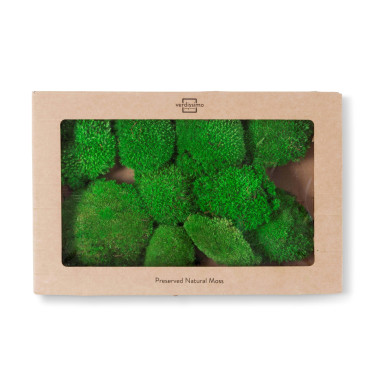 Mousse boule stabilisée window box vert clair Mousse boule stabilisée window box vert clair