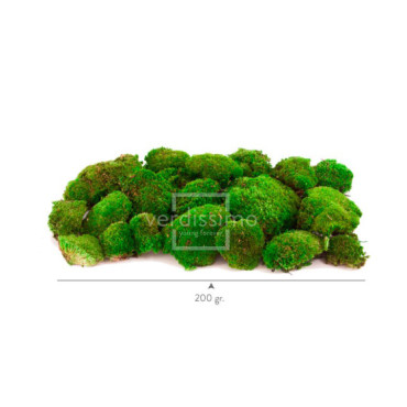 Mousse boule stabilisée vrac vert clair Mousse boule stabilisée vrac vert clair