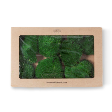 Mousse boule stabilisée window box vert foncé Mousse boule stabilisée window box vert foncé