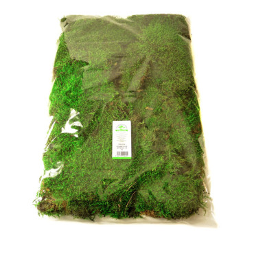 Mousse plate stabilisée vert en sac Mousse plate stabilisée vert en sac